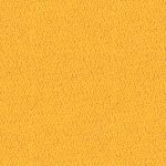Solano-YP072