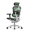Ergohuman Elite G2 Mesh Chair with Headrest - Image 2