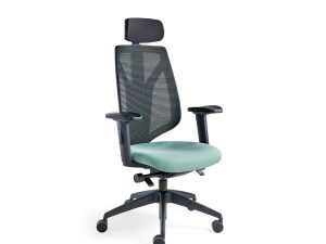 Duce Mesh Back Ergonomic Chair