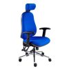 Polar Ergonomic Task Chair