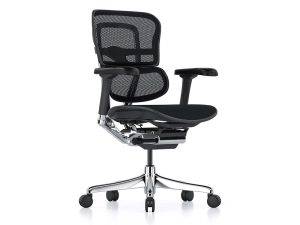 Ergohuman Elite G2 Mesh Chair