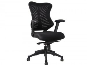 Spine Mesh Chair with Arms